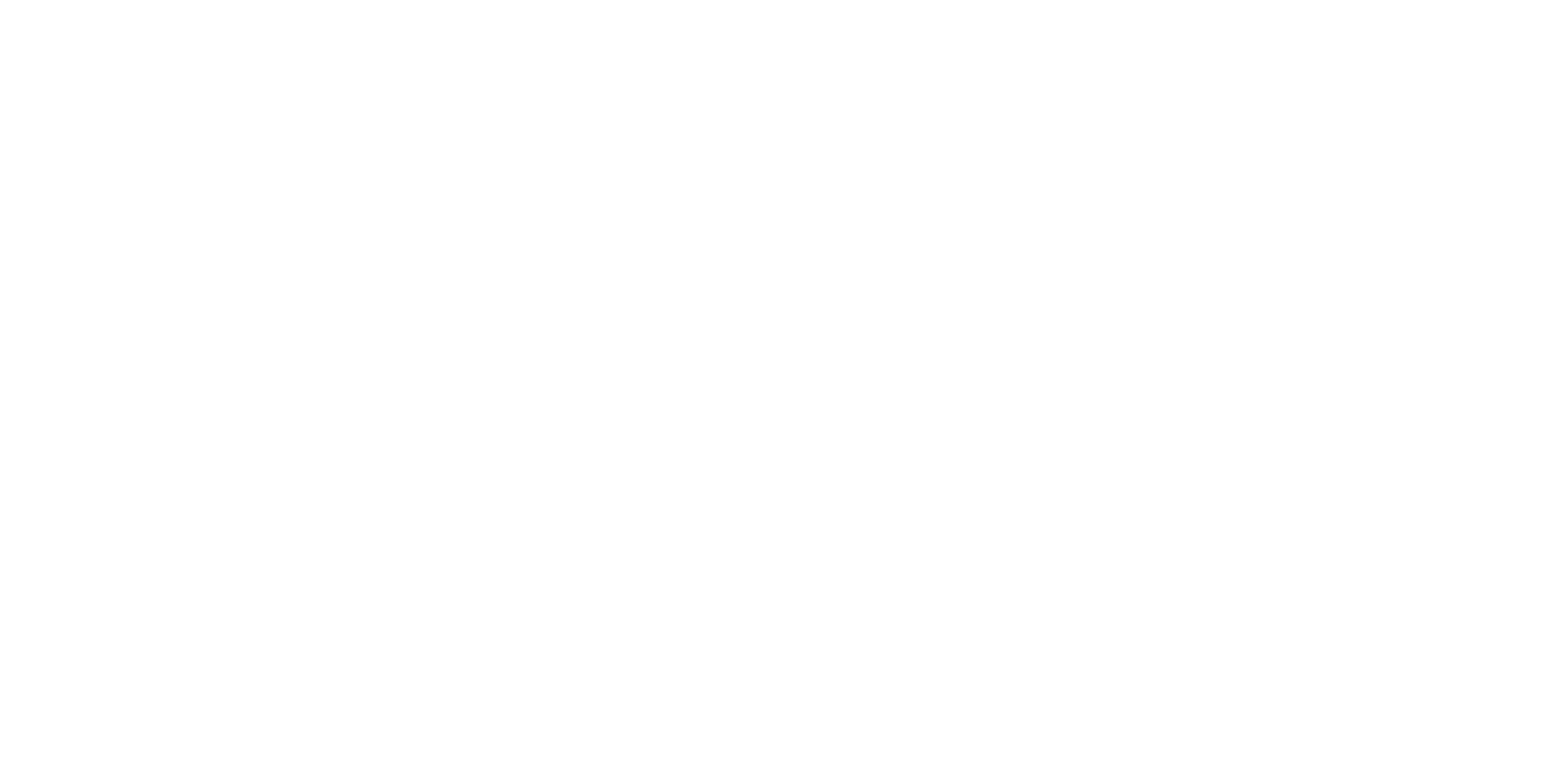 Logo carminucci bianco